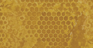 beehive removal riverside