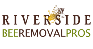 Riverside Bee Removal Pros