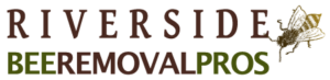 Bee Removal Pros Riverside